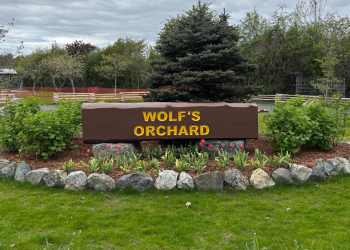 Wolf Orchard Park