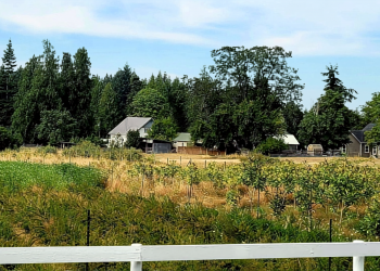 What North Saanich Gets Right About Farming