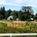 What North Saanich Gets Right About Farming
